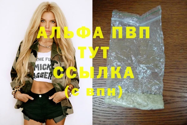 PSILOCYBIN Бронницы