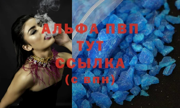 PSILOCYBIN Бронницы