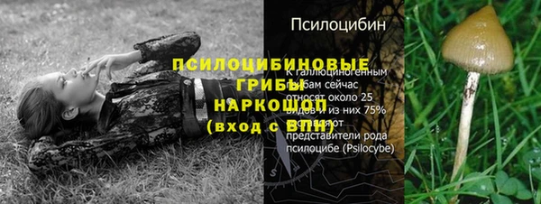 винт Беслан