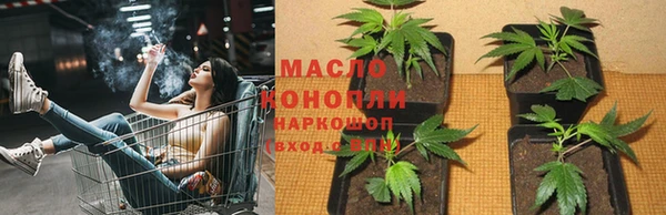 амф Верея