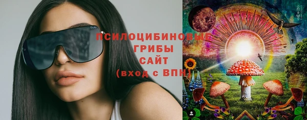 PSILOCYBIN Бронницы